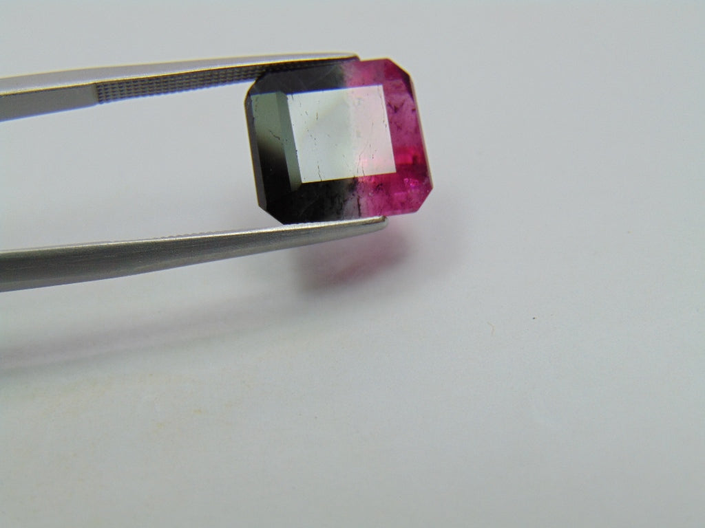 Turmalina Bicolor 8,15ct 12x11mm