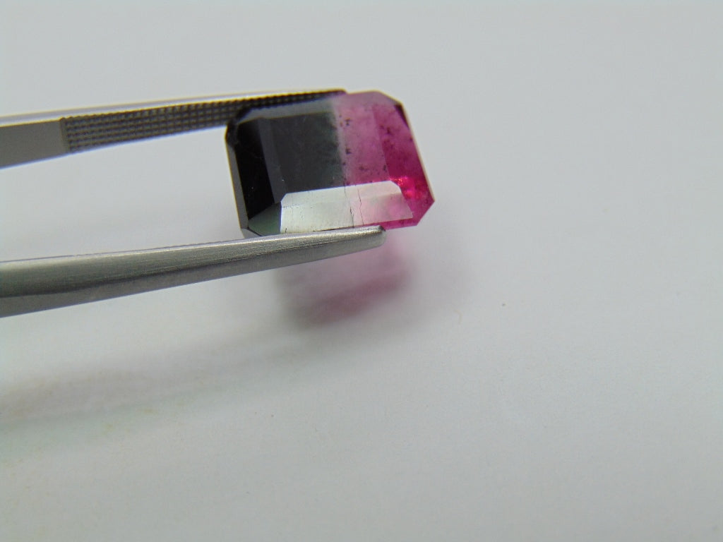 Turmalina Bicolor 8,15ct 12x11mm