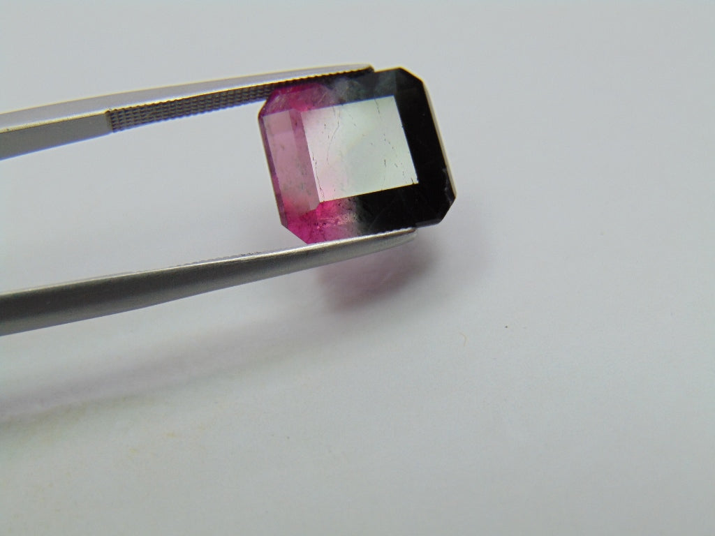 Turmalina Bicolor 8,15ct 12x11mm