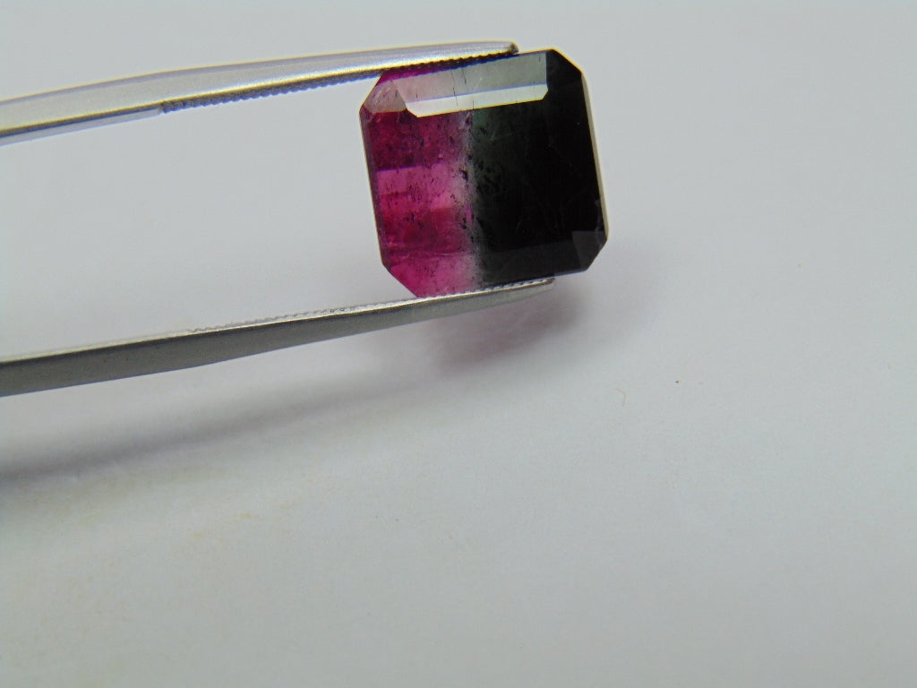 Turmalina Bicolor 8,15ct 12x11mm