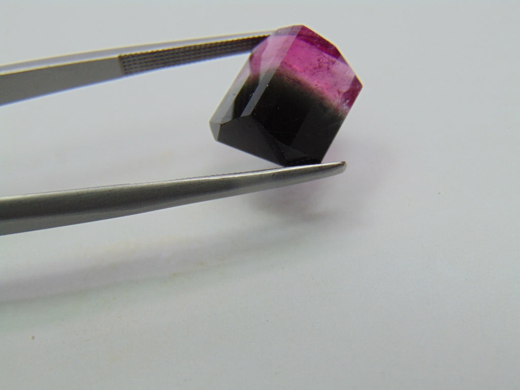 Turmalina Bicolor 8,15ct 12x11mm