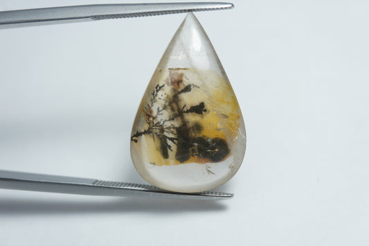 12.40ct Dendrita 23x15mm