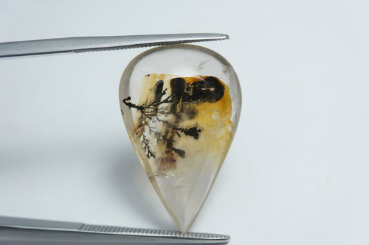 12.40ct Dendrita 23x15mm