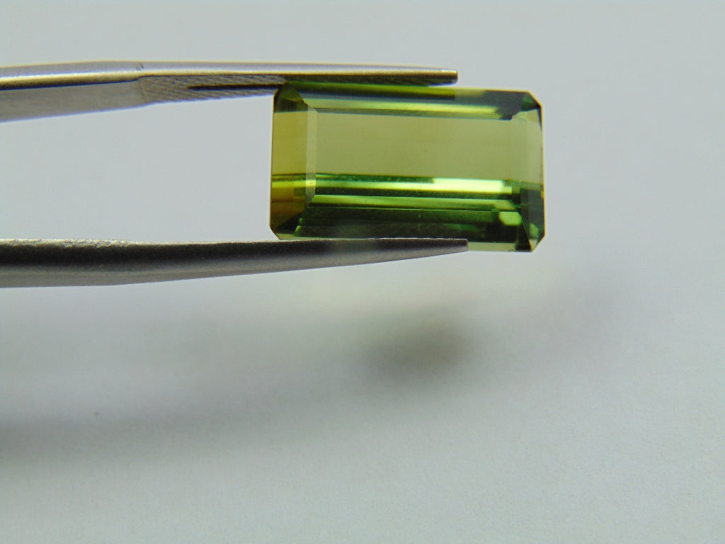 7.30ct Tourmaline 15x9mm