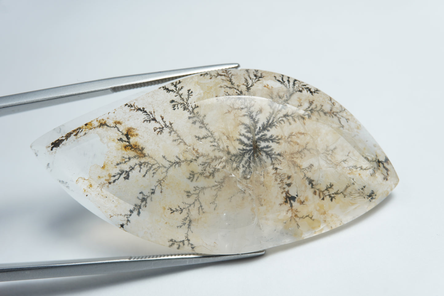 53.05ct Dendrita 50x25mm