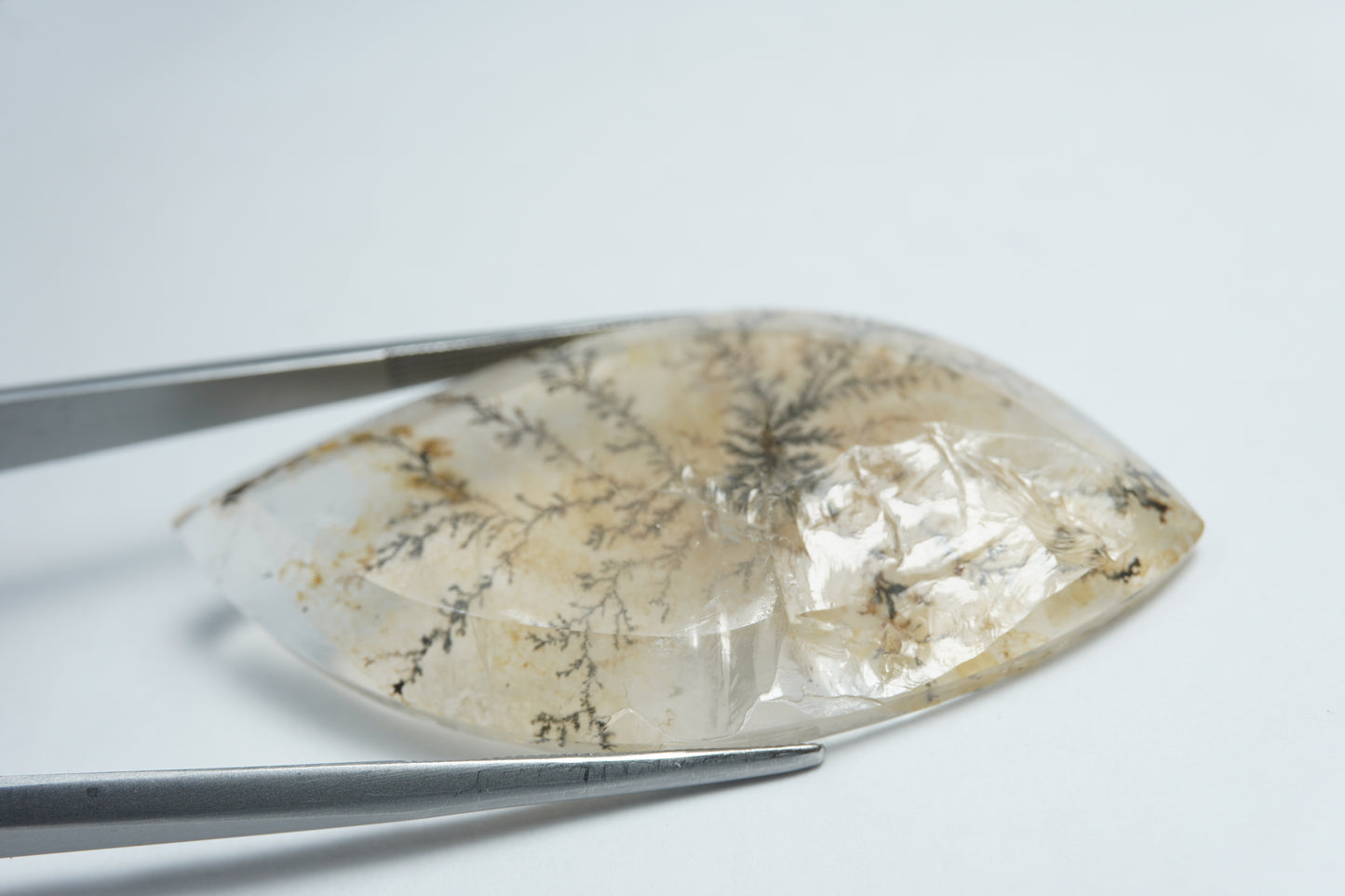 53.05ct Dendrita 50x25mm