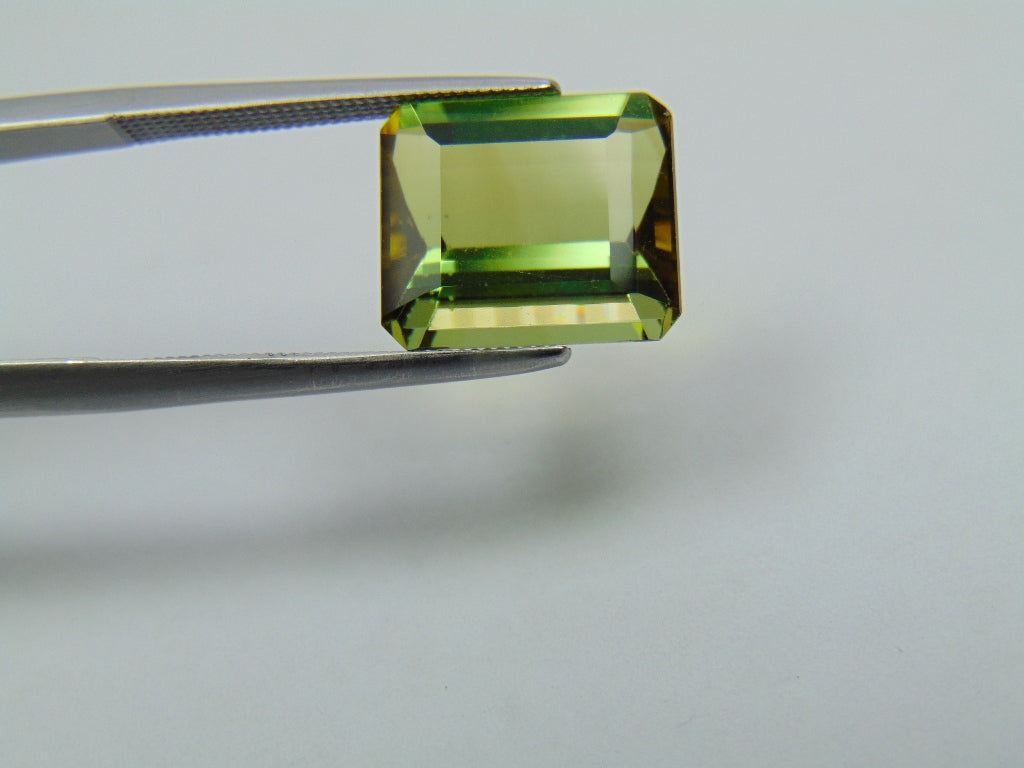 5.65ct Turmalina 12x10mm