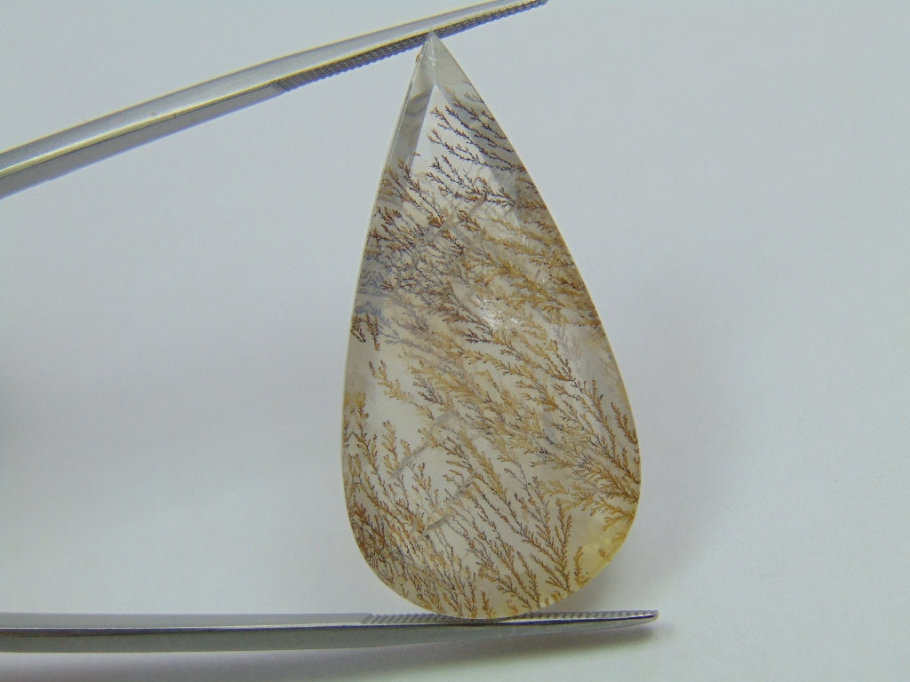 28.10ct Dendrita 36x19mm