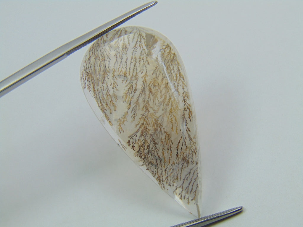 28.10ct Dendrita 36x19mm