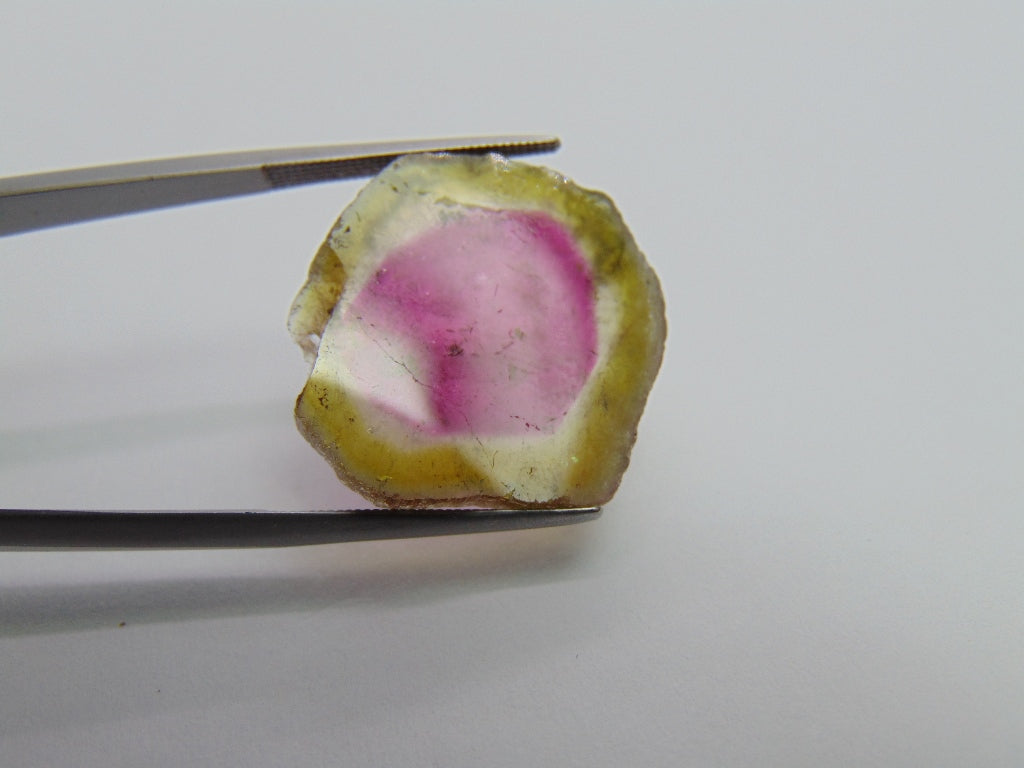 18.20ct Watermelon Tourmaline 24x23mm