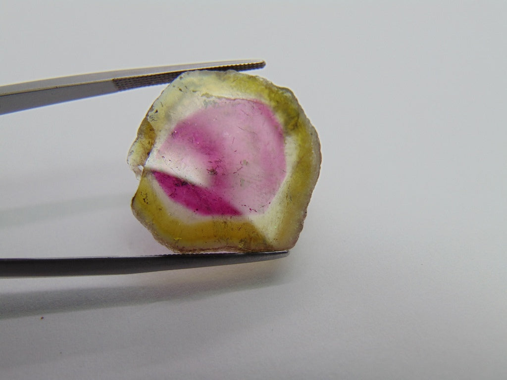 18.20ct Watermelon Tourmaline 24x23mm