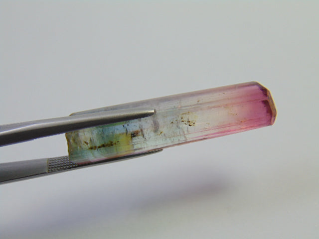17.25ct Tourmaline Bicolor Piece 32x11mm