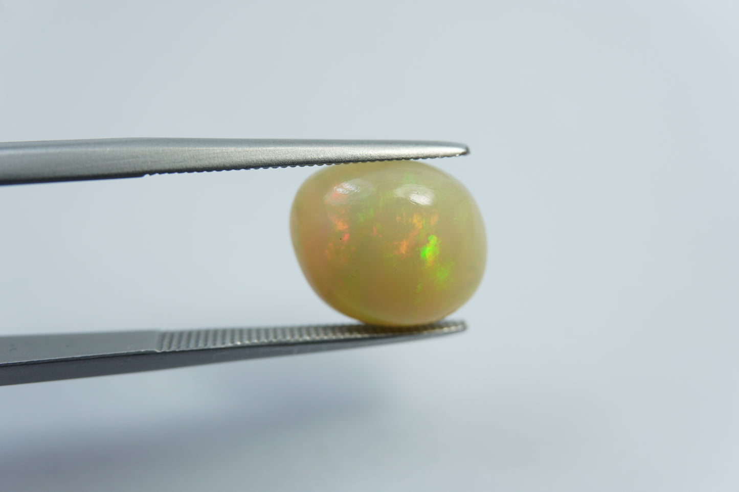 3.10ct Opala nobre 12x10mm