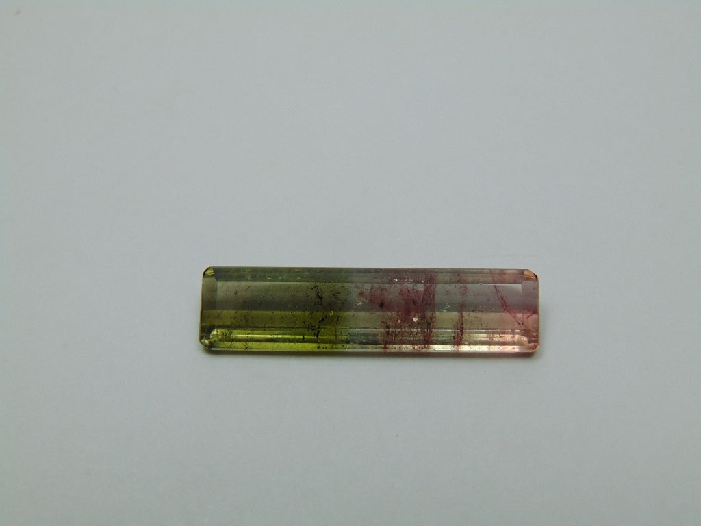 8.80ct Turmalina Bicolor 30x7mm