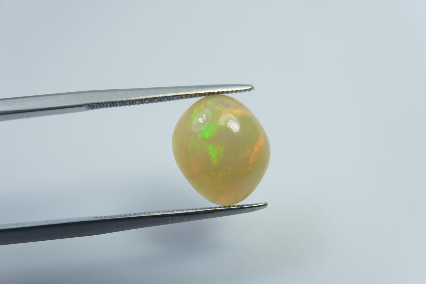 3.10ct Opala nobre 12x10mm