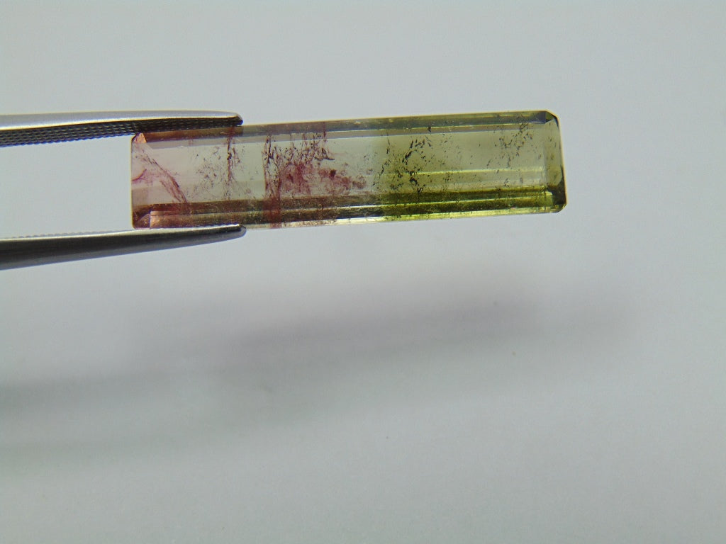 8.80ct Tourmaline Bicolor 30x7mm