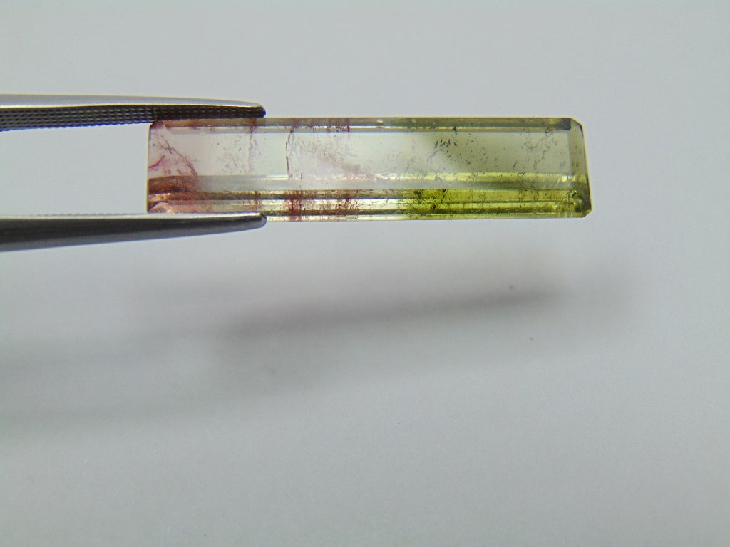 8.80ct Turmalina Bicolor 30x7mm