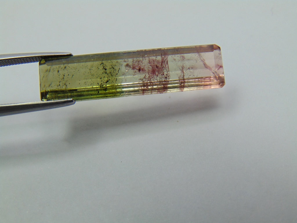 8.80ct Tourmaline Bicolor 30x7mm