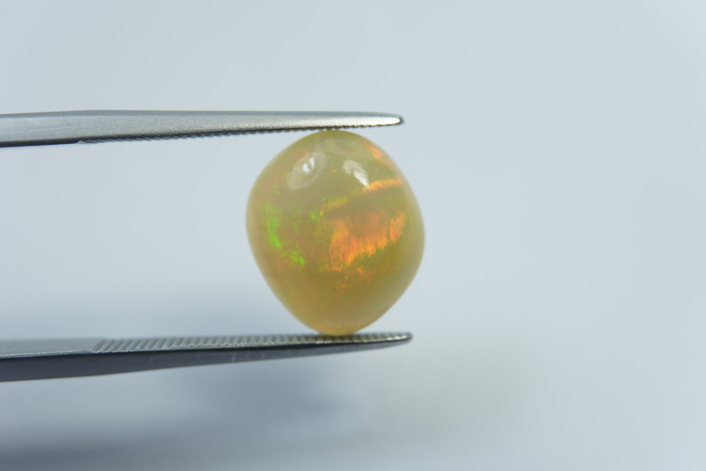 3.10ct Opala nobre 12x10mm