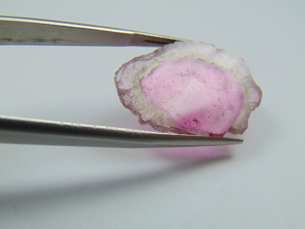 12.50ct Turmalina Melancia 27x19mm