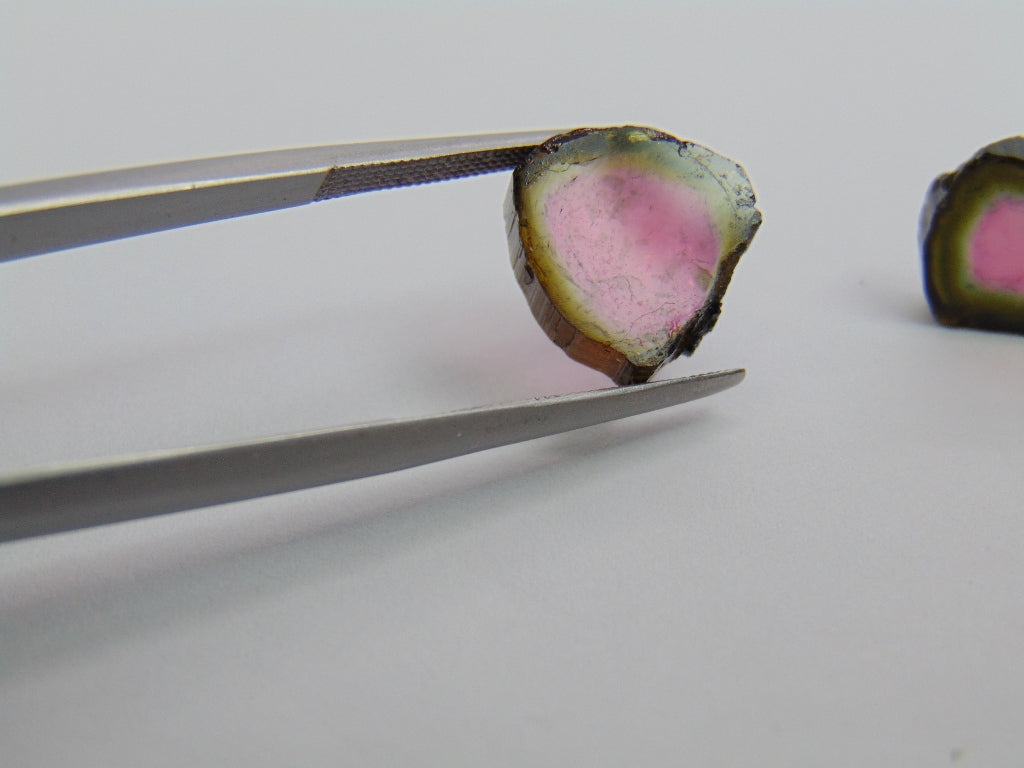 13.60ct Watermelon Tourmaline