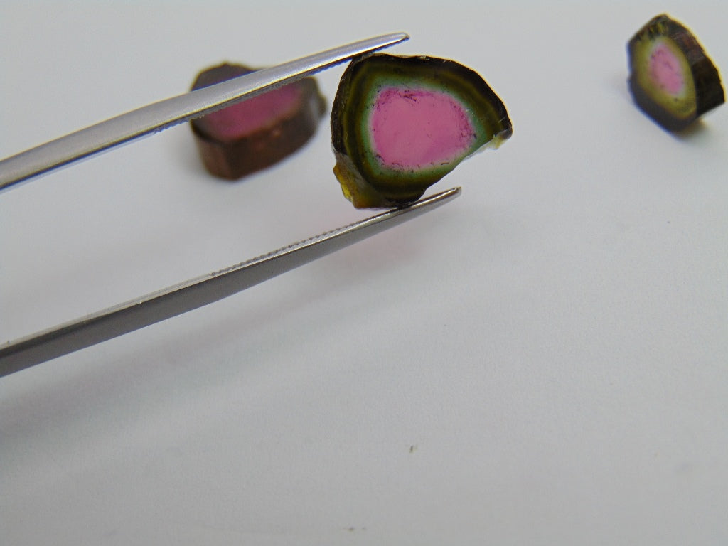 13.60ct Watermelon Tourmaline