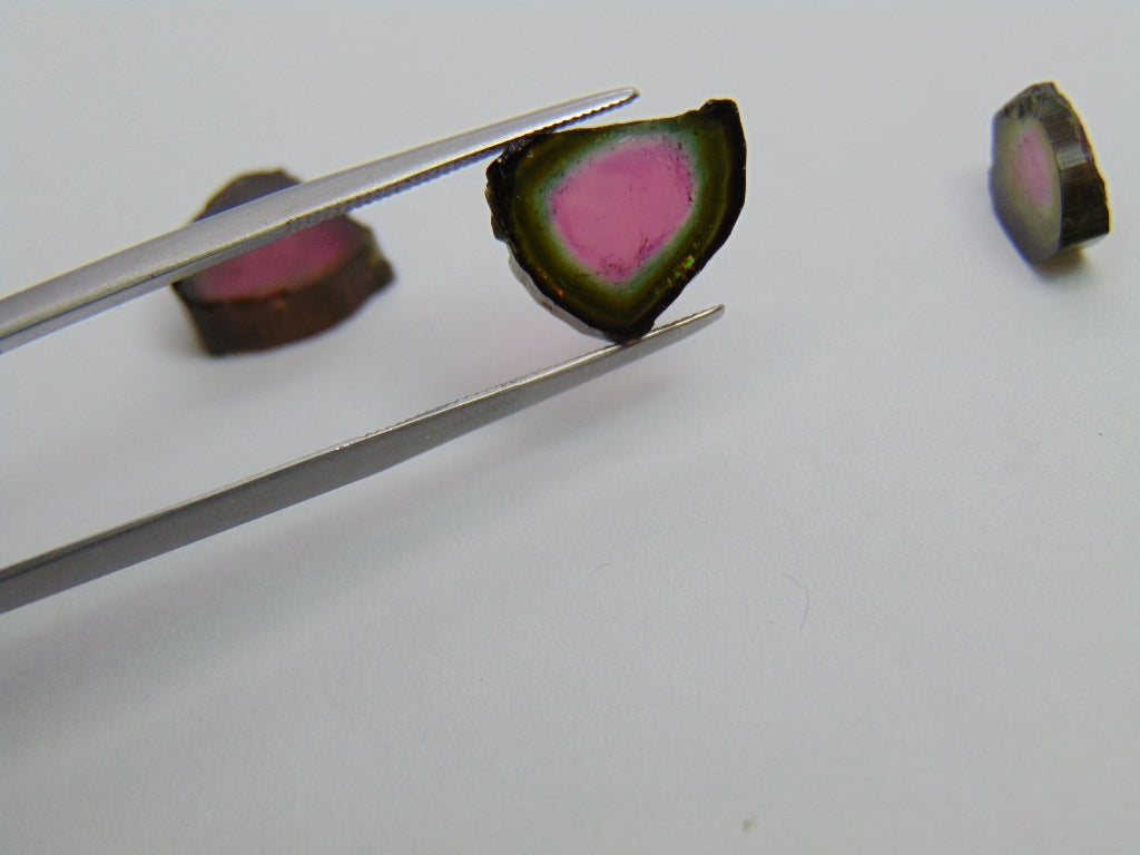 13.60ct Watermelon Tourmaline