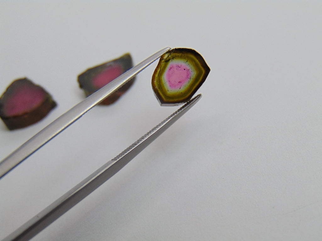 13.60ct Watermelon Tourmaline