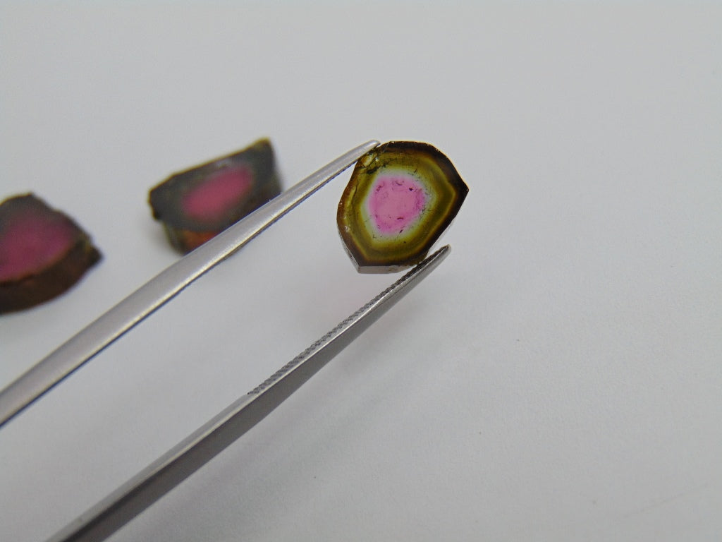 13.60ct Watermelon Tourmaline