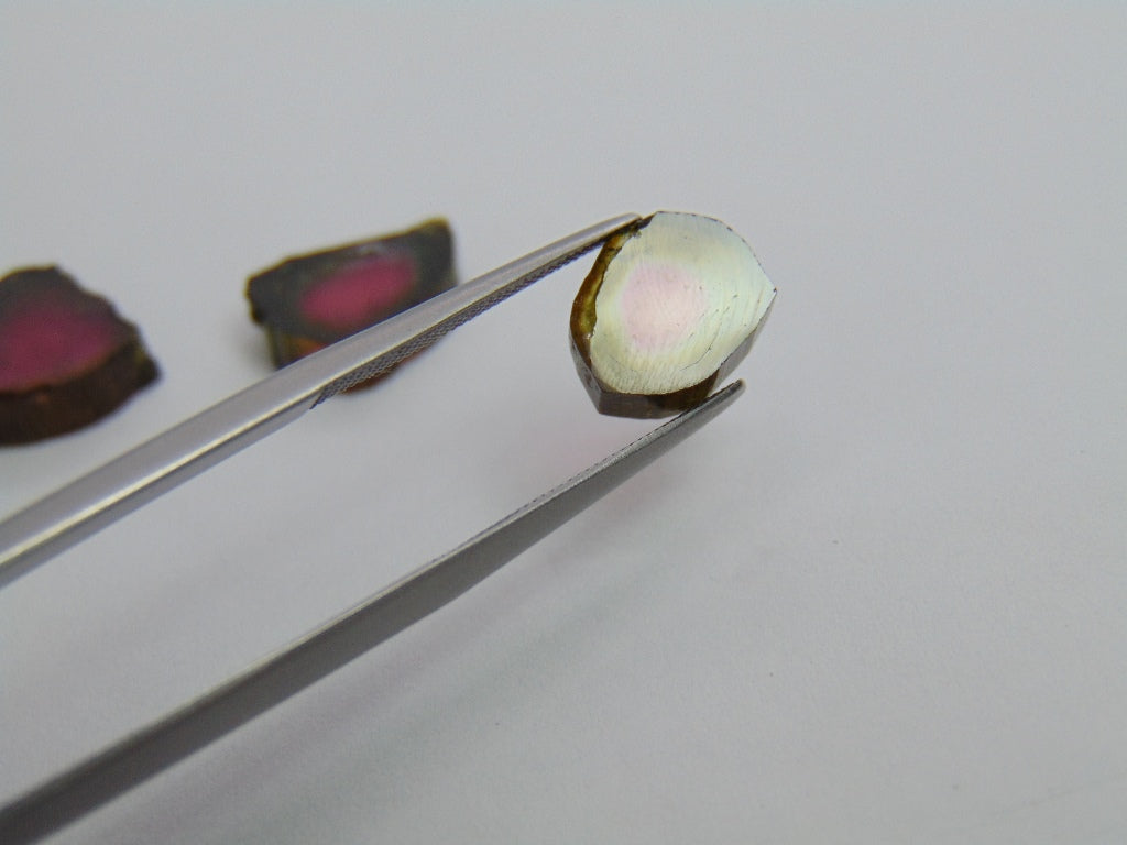 13.60ct Watermelon Tourmaline