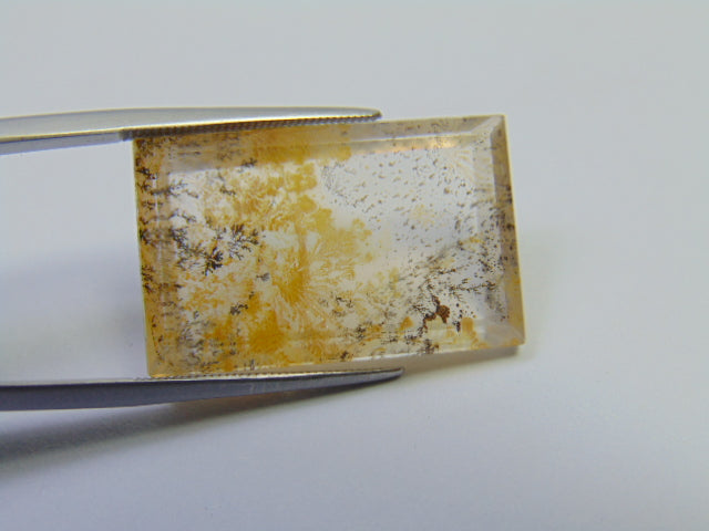 25.05ct Dendrite 26x17mm