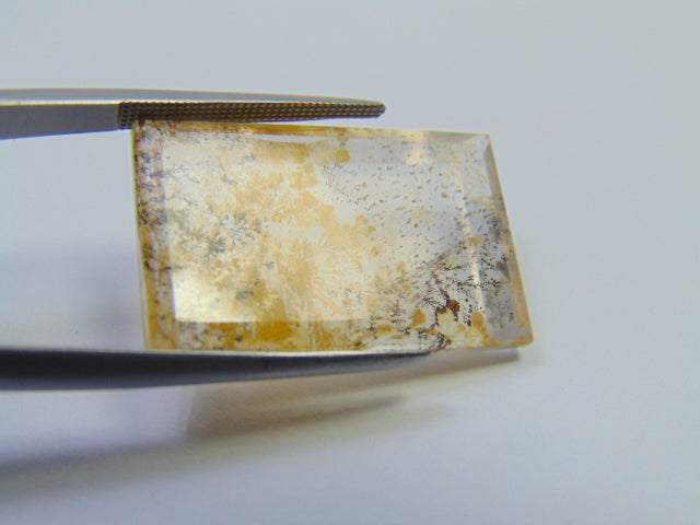 25.05ct Dendrite 26x17mm