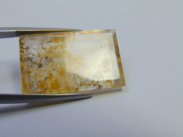 25.05ct Dendrite 26x17mm