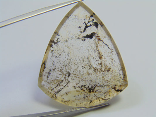 69.90ct Dendrite 39x33mm