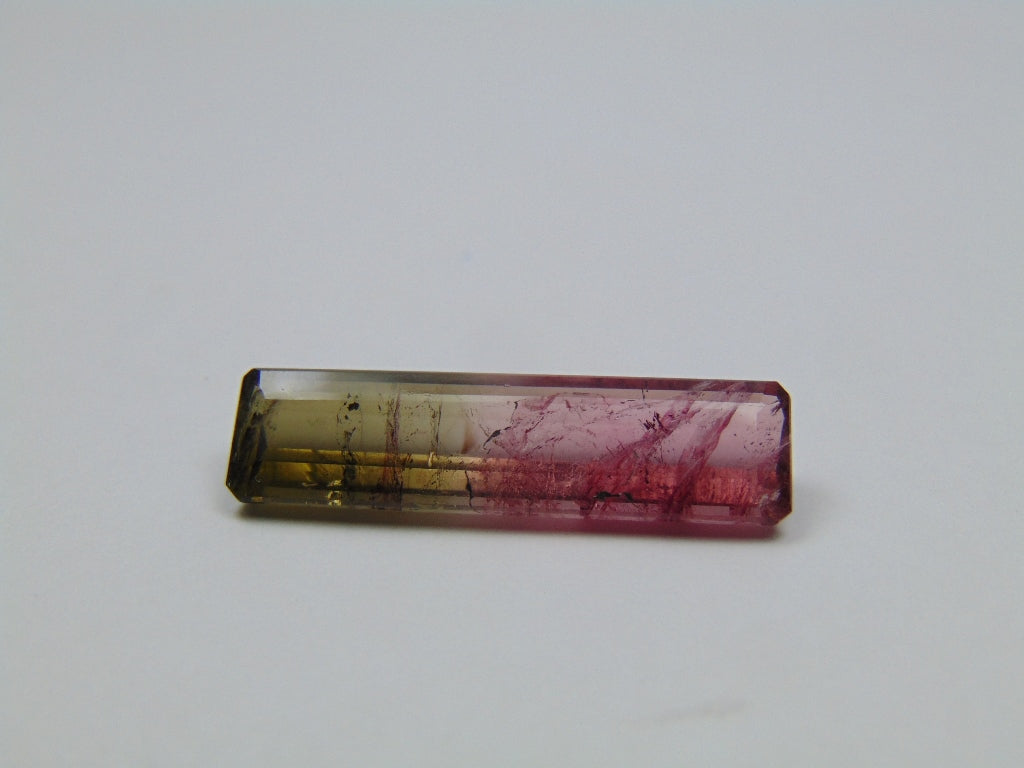 12.48ct Turmalina Bicolor 30x8mm