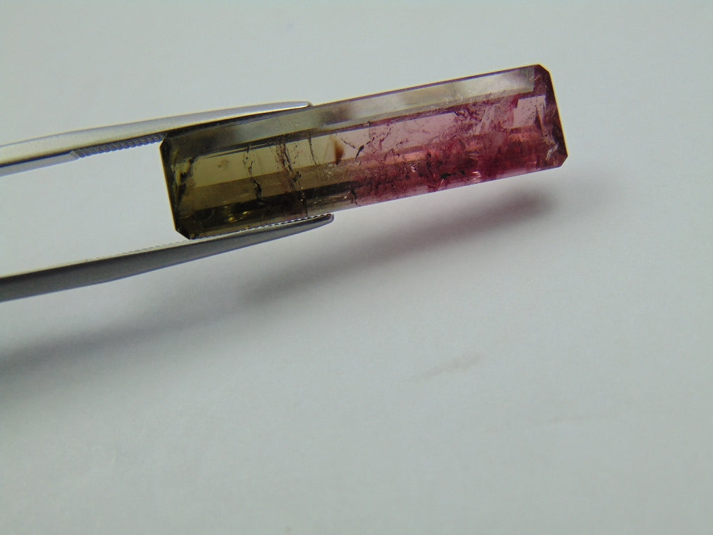 12.48ct Turmalina Bicolor 30x8mm