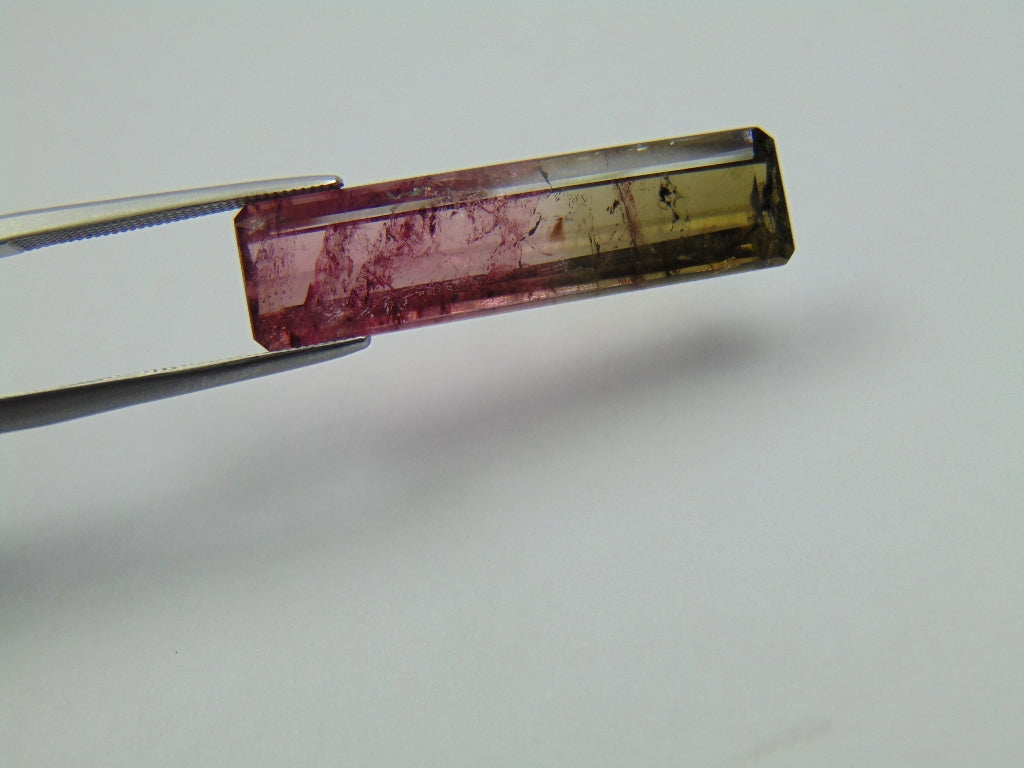 12.48ct Turmalina Bicolor 30x8mm