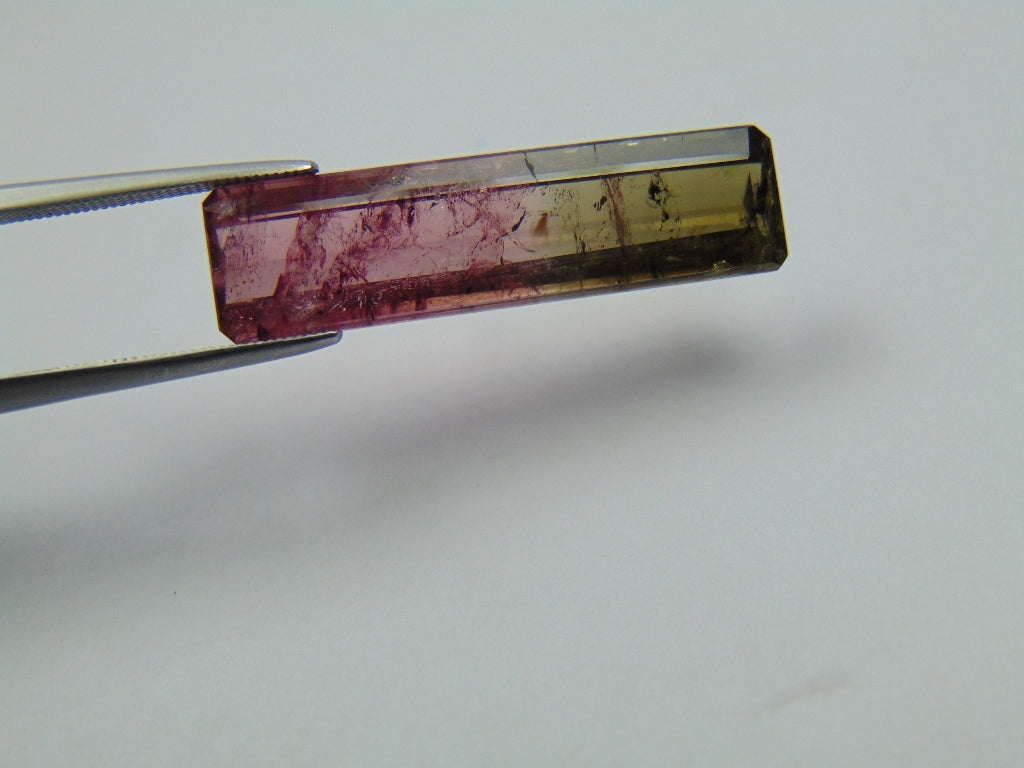 12.48ct Turmalina Bicolor 30x8mm