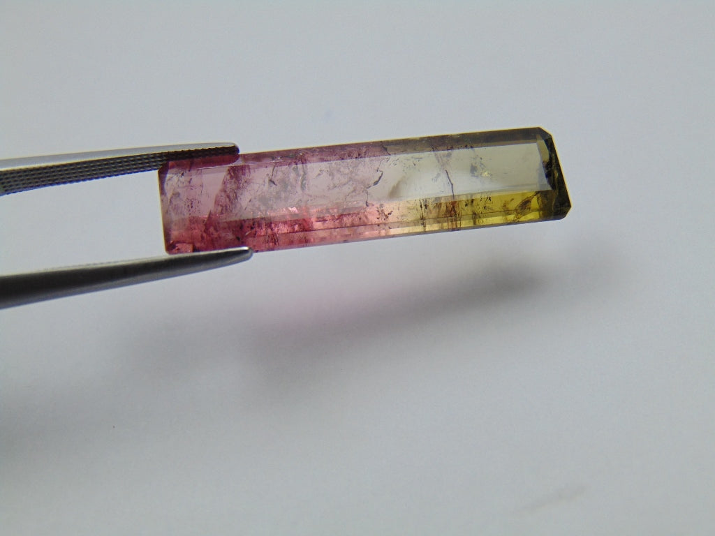 12.48ct Turmalina Bicolor 30x8mm