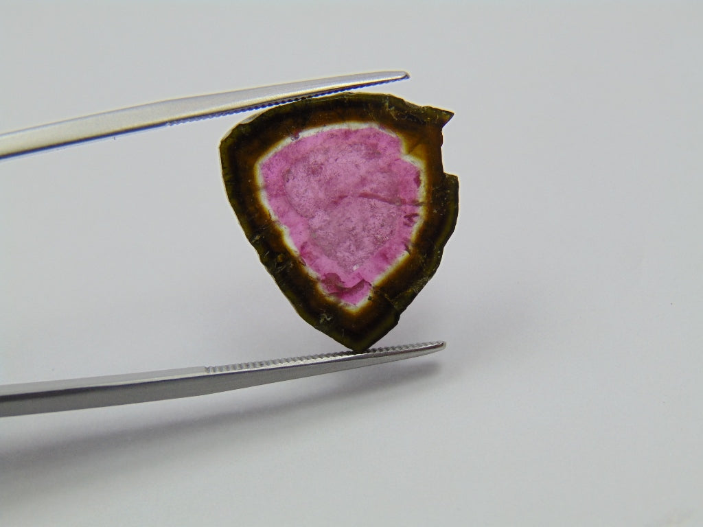 12ct Watermelon Tourmaline 20x18mm