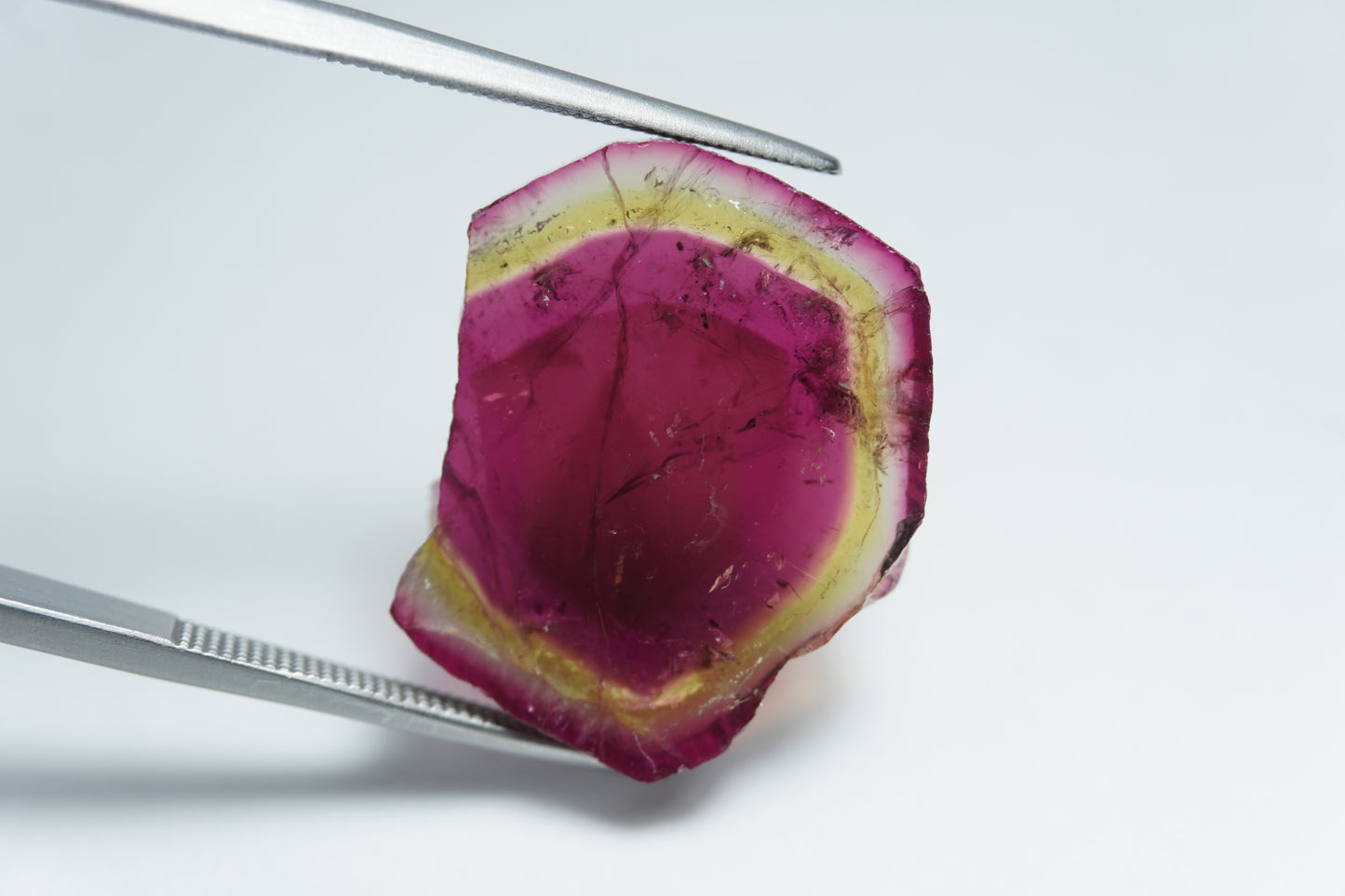 17.30ct Watermelon Tourmaline 21x19mm