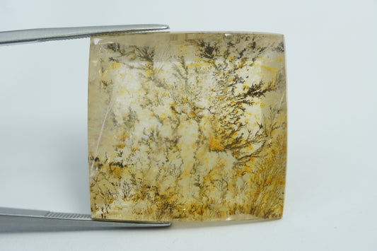 54.80ct Dendrite 28x27mm