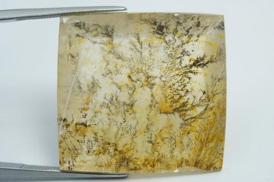 54.80ct Dendrite 28x27mm