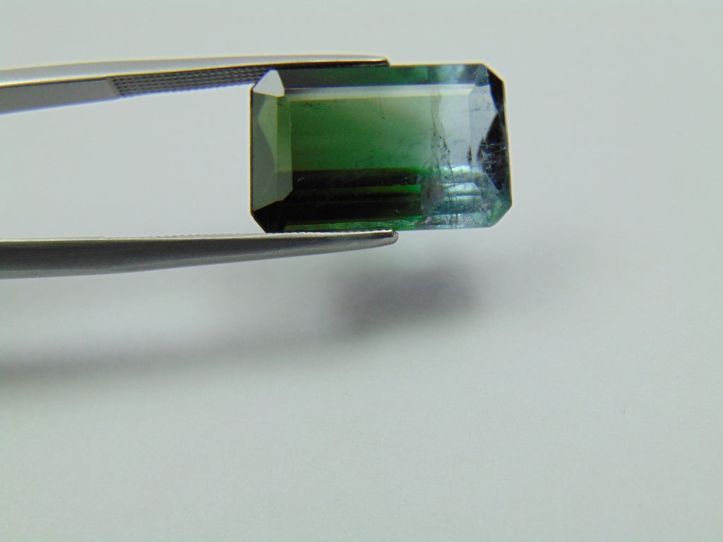 9.85ct Turmalina Bicolor 17x11mm