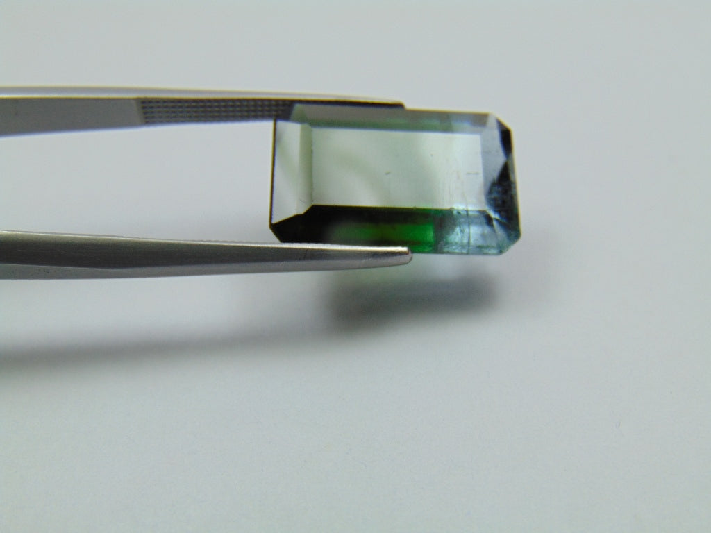 9.85ct Turmalina Bicolor 17x11mm