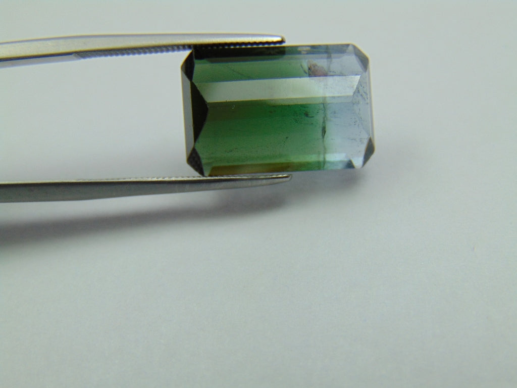 9.85ct Turmalina Bicolor 17x11mm