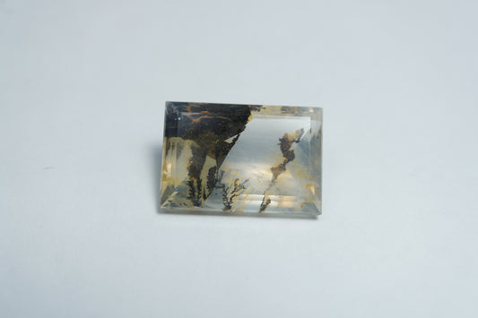8.65ct Dendrita 16x11mm
