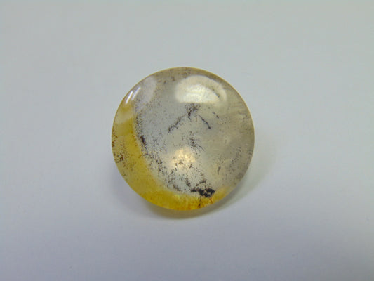 21.90ct Dendrite 20mm