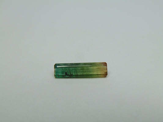 3ct Turmalina Bicolor 18x5mm