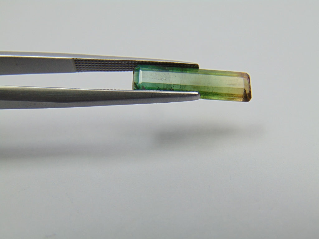 3ct Tourmaline Bicolor 18x5mm